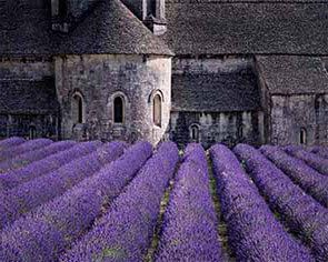 Provence Lavender & Luberon Villages