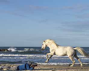 Camargue France