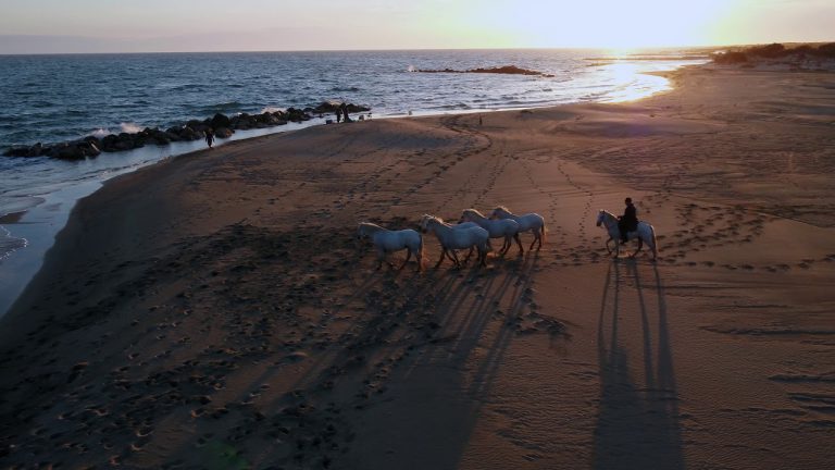 White Horses On The Beach By Drone